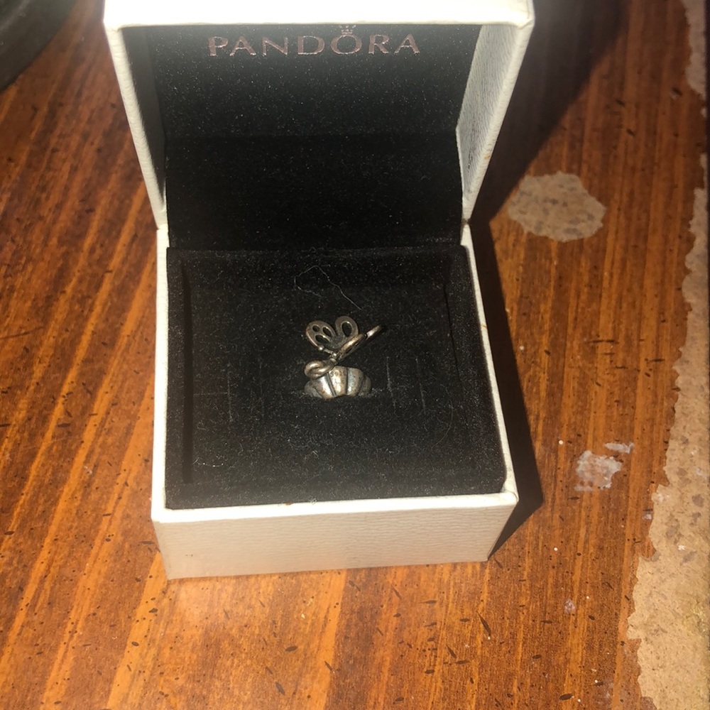 Pandora Charm